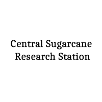 central-sugarcane-research-station